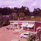 Notcutts garden centre in Woodbridge in the 1960’s